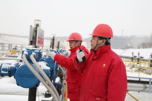 雪映丹心 守護能源動脈——記鐵嶺輸油站運行人員的雪中堅守與管道工程施工服務
