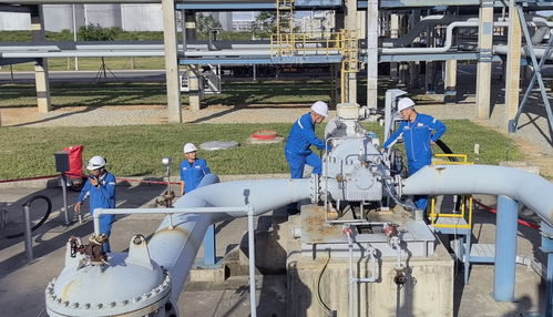 直通國(guó)家管網(wǎng) 廣東石化成品油管輸正式啟運(yùn)，譜寫(xiě)能源輸送新篇章